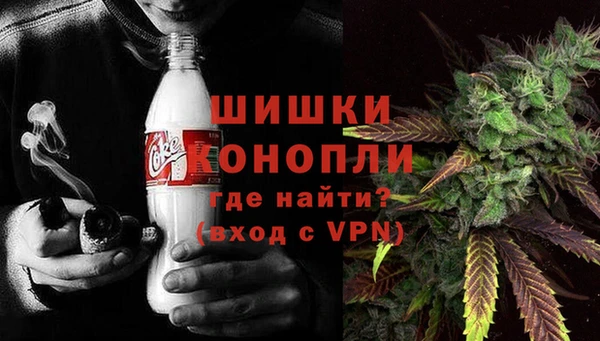 сатива Белоозёрский