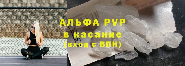 сатива Белоозёрский